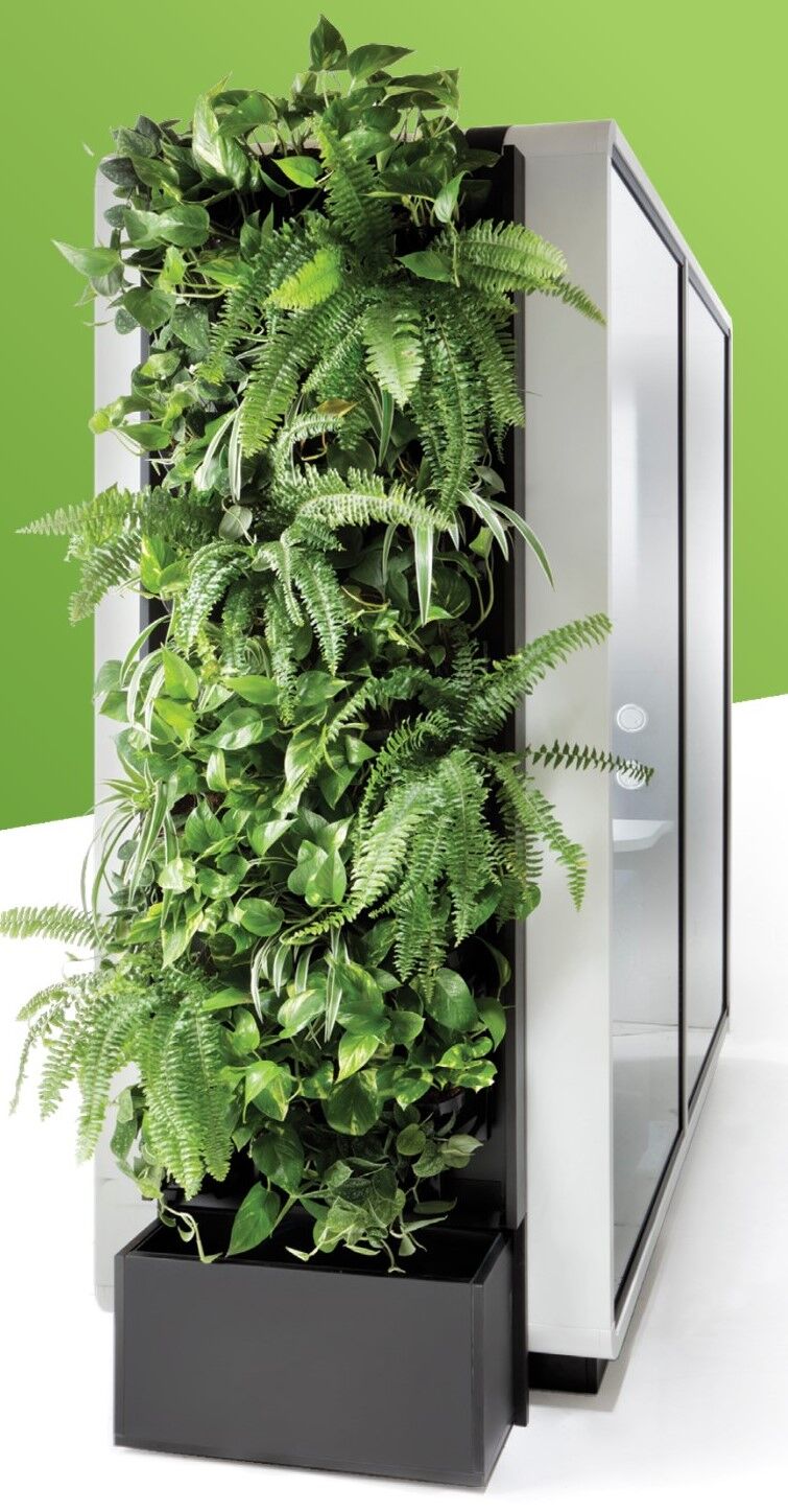 Vertikale Pflanzenwand neben einem modernen, geschlossenen Büro-Pod auf grünem Hintergrund.