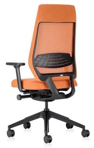 Interstuhl JOYCE JC262, ergonomischer Bürostuhl,