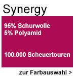 PG4 Synergy