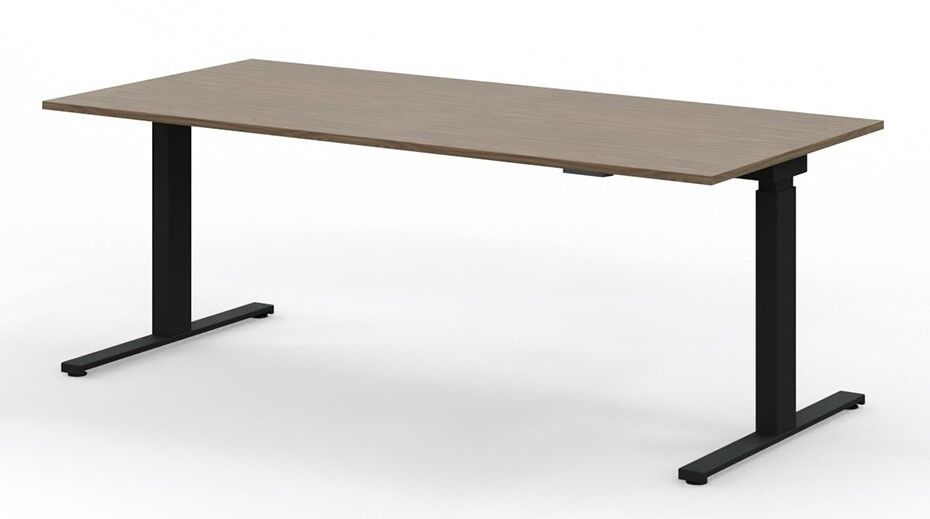 Leuwico Spine 2 Steh-Sitz-Schreibtisch,