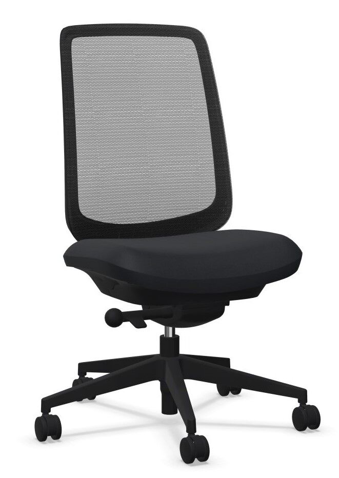 Herman Miller Verus, Intercept-Membranrücken