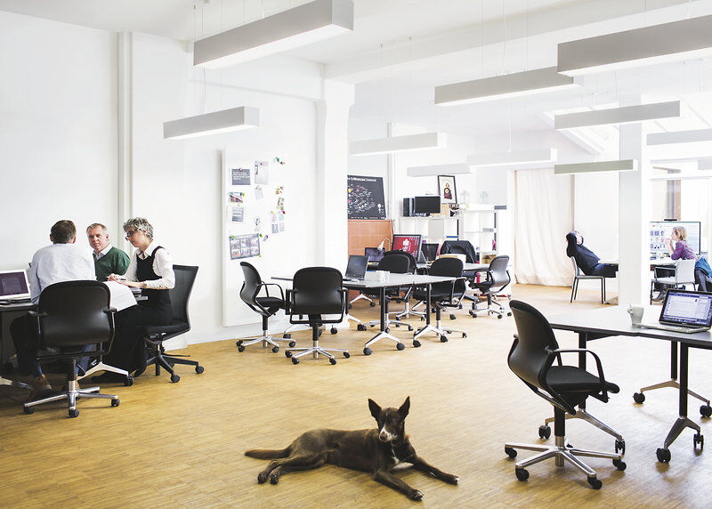 Modernes Büro mit Mitarbeitern, die in ergonomischen Stühlen sitzen, und einem Hund auf dem Boden.