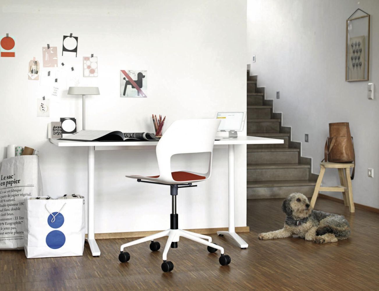 Moderner, ergonomischer Bürostuhl an einem Schreibtisch, mit einem Hund, der auf dem Boden liegt.