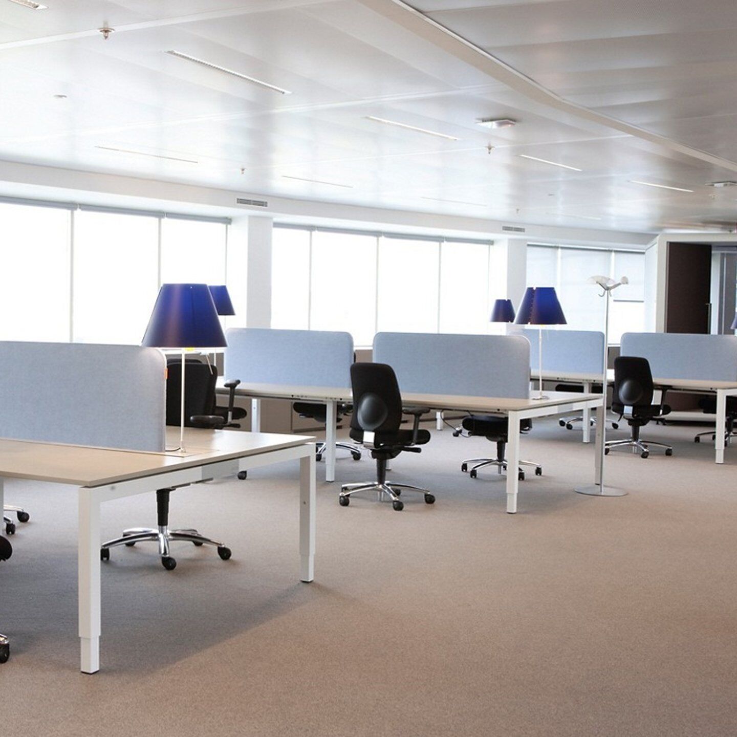 BuzziSpace BuzziDesk, Schreibtisch-Trennwand, viele Formate