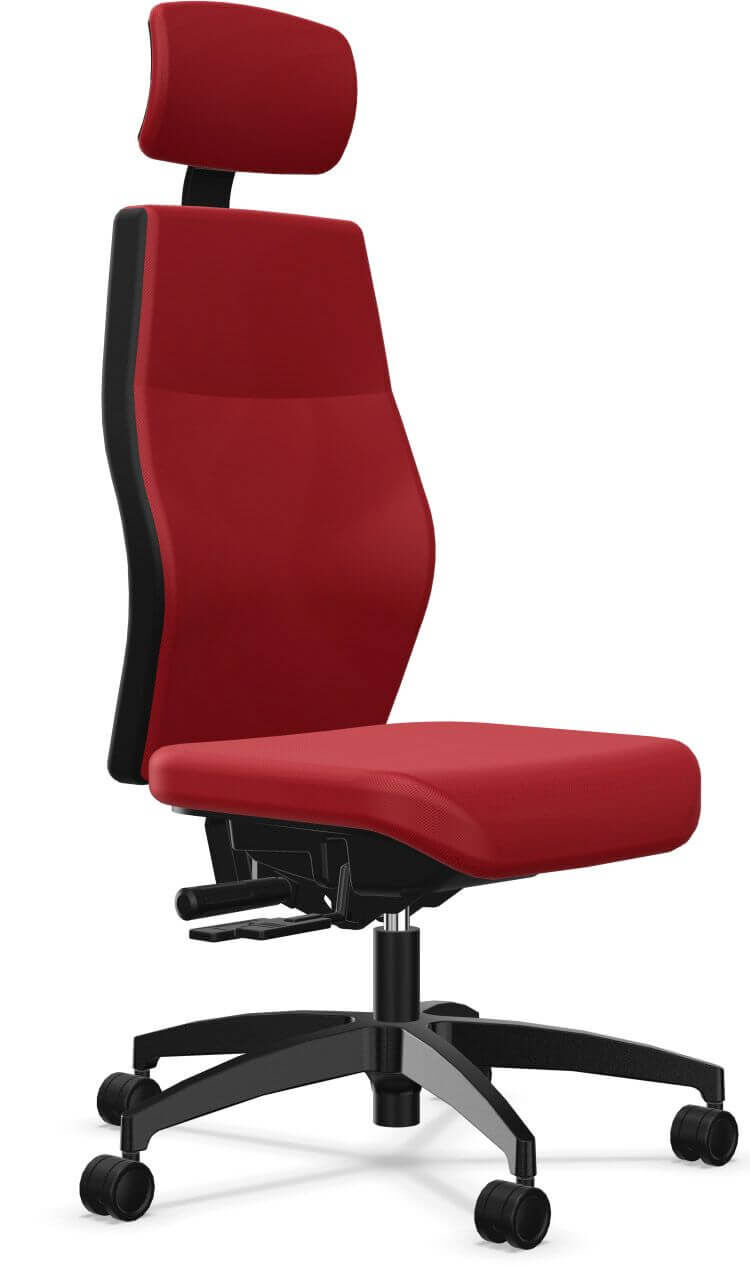 Dauphin Shape XTL