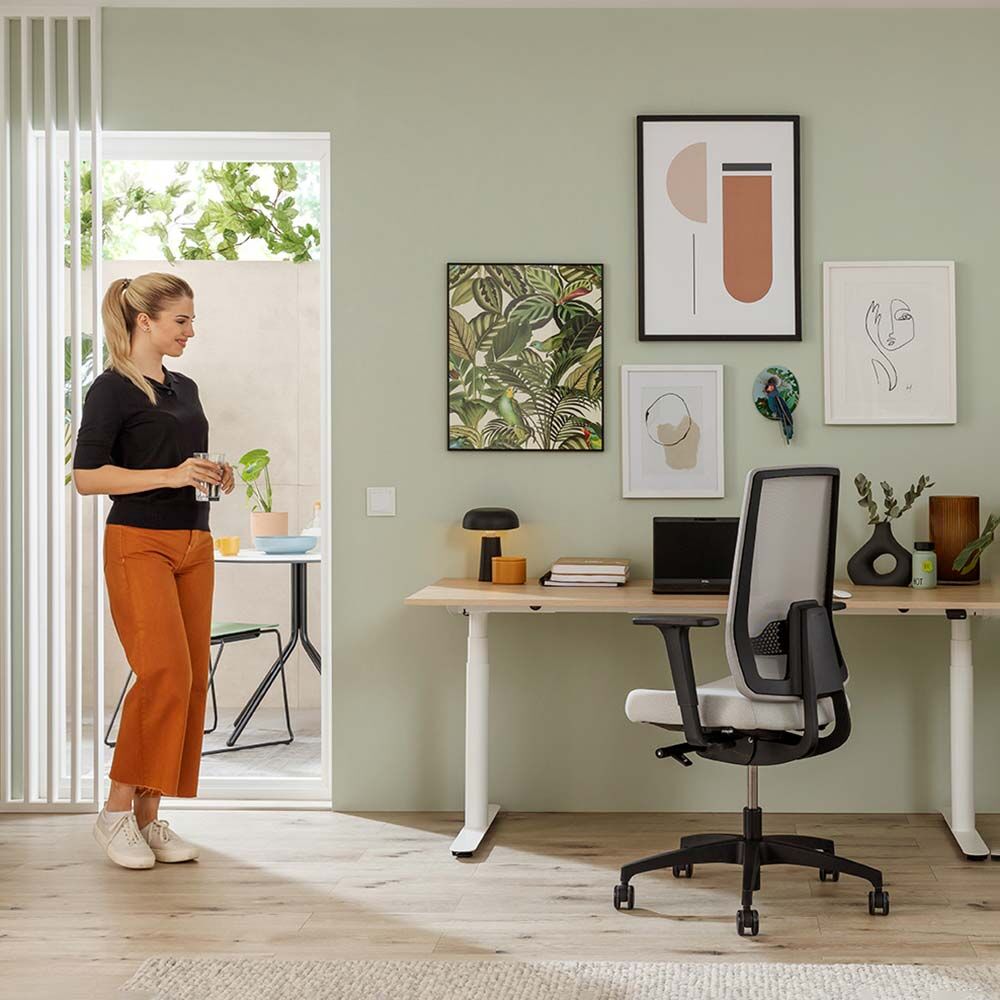 Dauphin Indeed mesh Netzrücken im Home Office