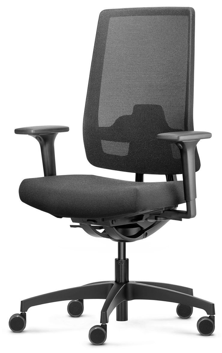 Dauphin Indeed automatic mesh ID 7056,