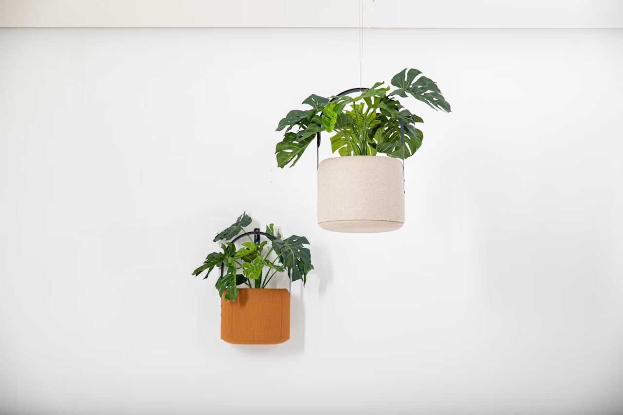 BuzziSpace BuzziPlanter, Pflanzgefäß, akustisch wirksam, viele Formate