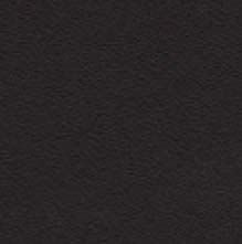 Premium Leder 29.33 schwarz