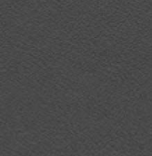 Premium Leder 29.36 anthrazitg