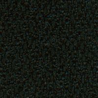 250 schwarz