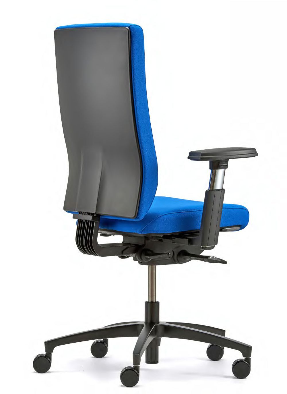 Dauphin @Just magic2 XL (AJ 4862)