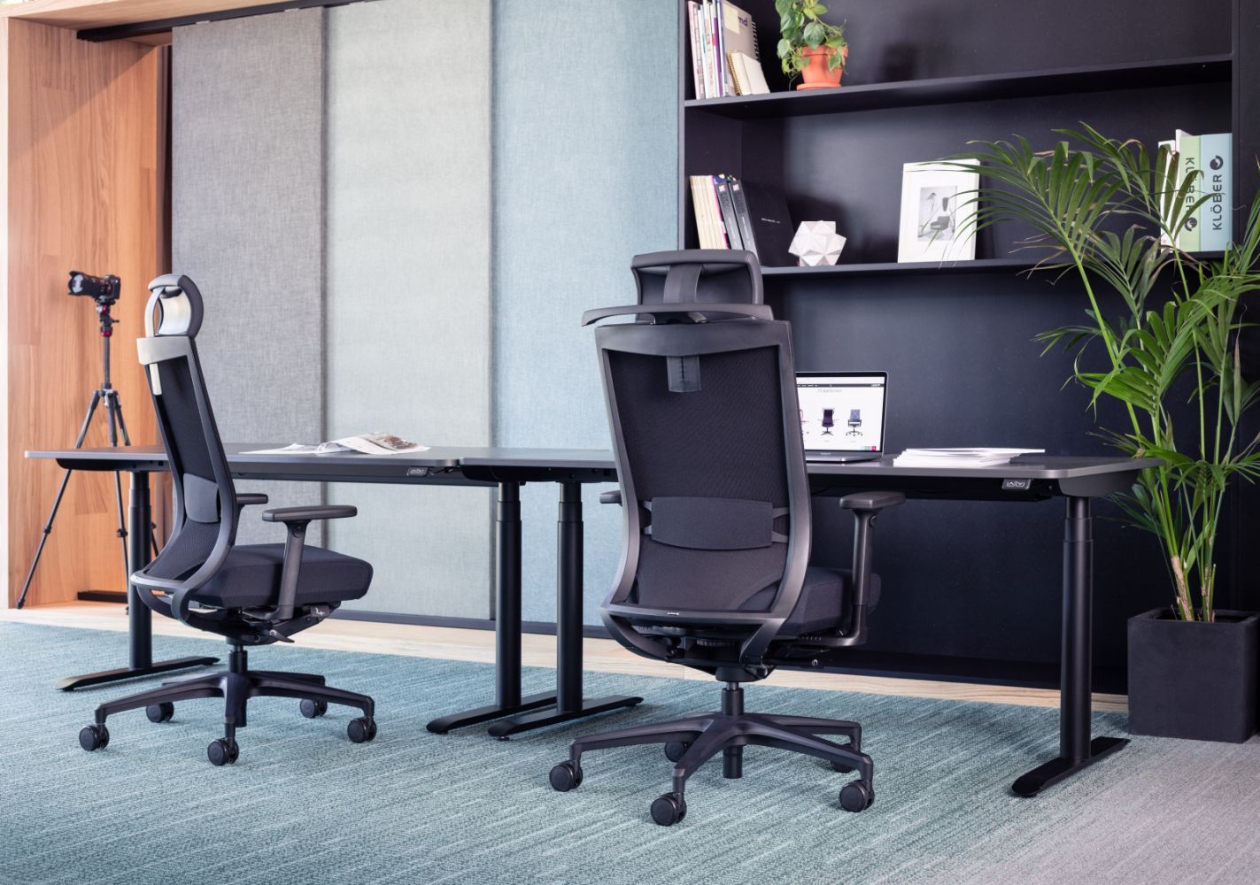 Zwei ergonomische Bürostühle an höhenverstellbaren Schreibtischen in modernem Büro mit Regal und Pflanzen.