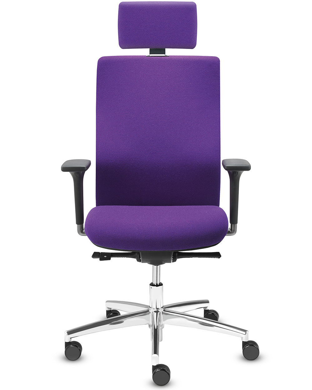 Dauphin of France visual data 3