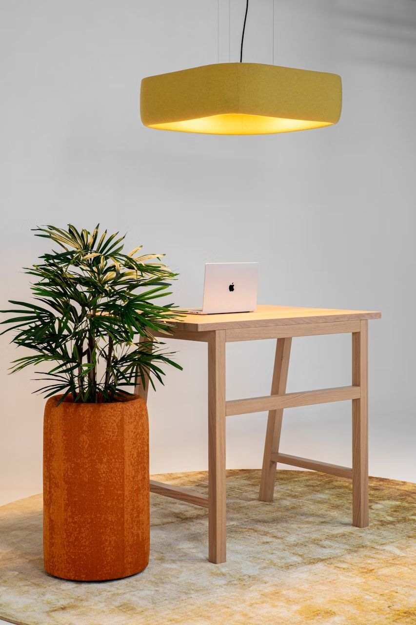 Moderne Arbeitsumgebung mit einem Laptop auf einem Holztisch, daneben eine Zimmerpflanze und hängende Beleuchtung.