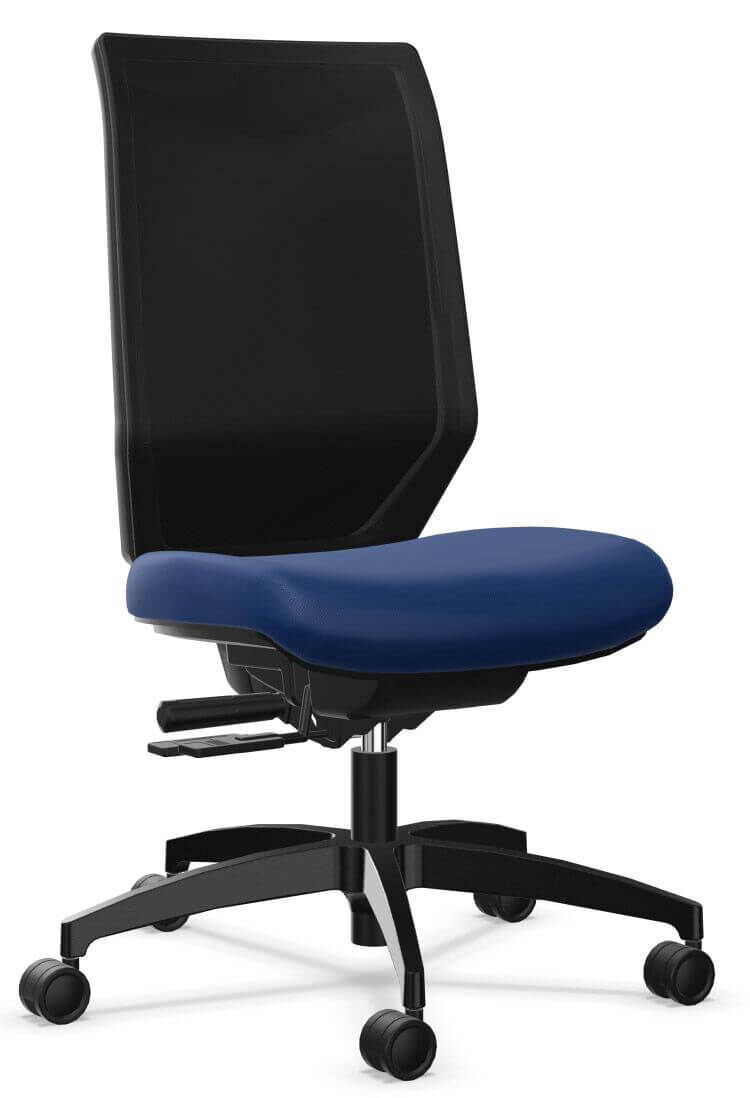Dauphin Shape economy2 mesh