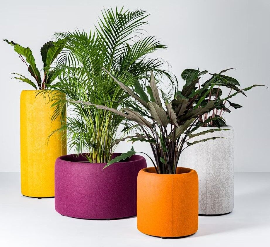 BuzziSpace BuzziPlanter, Pflanzgefäß, akustisch wirksam, viele Formate