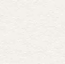 Premium Leder 29.73 reinweiß