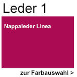 Leder 1