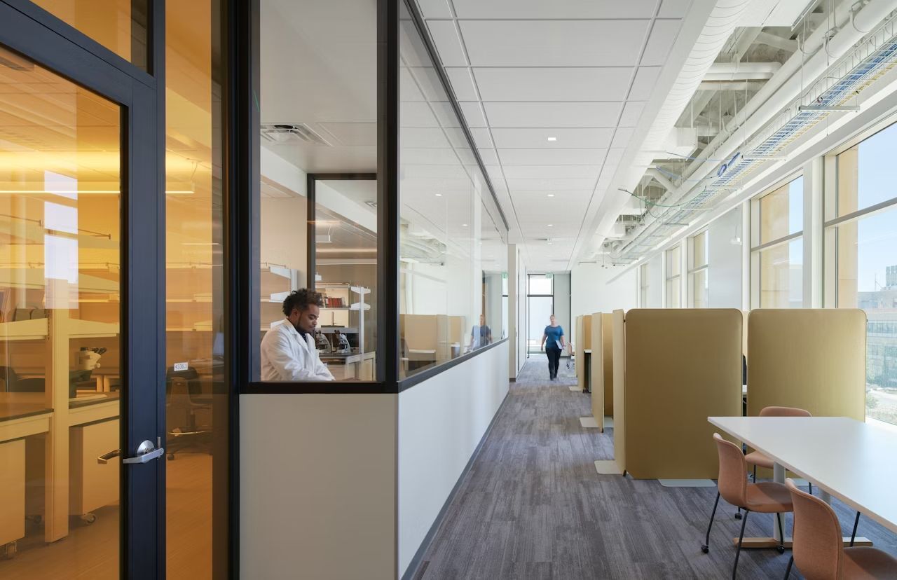 BuzziSpace BuzziFree, Akustik-Trennwand, Format wählbar