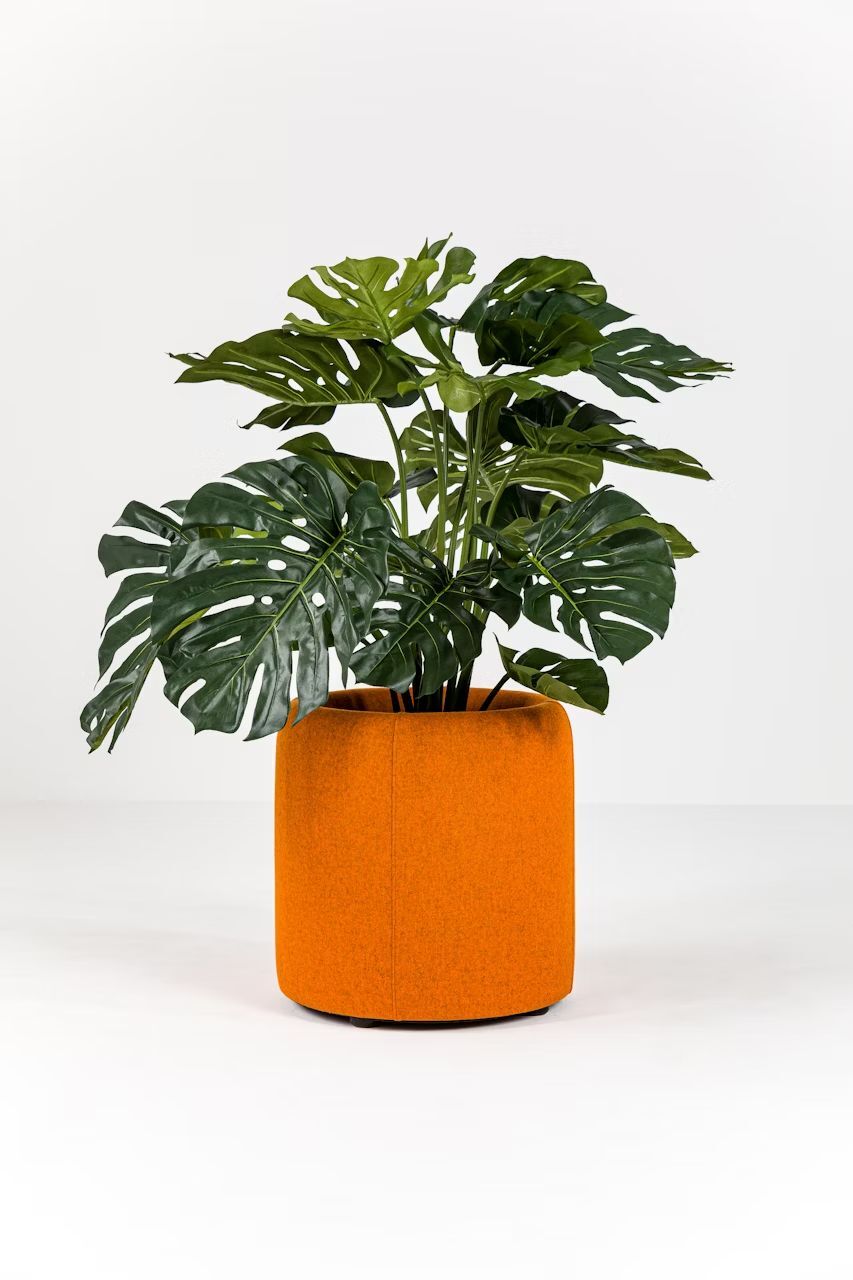 BuzziSpace BuzziPlanter, Pflanzgefäß, akustisch wirksam, viele Formate