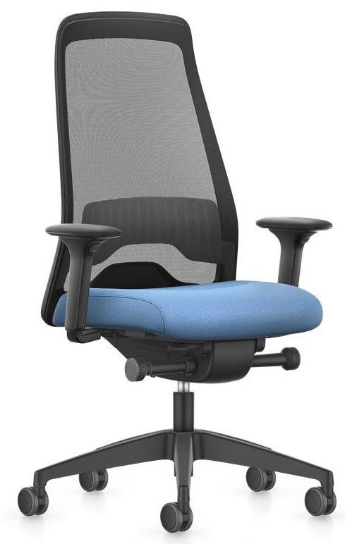 Interstuhl EVERY EV267, ergonomischer Bürostuhl,
