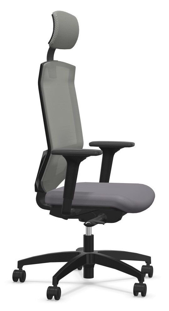 Dauphin @Just magic2 mesh XS AJ 5787_XS