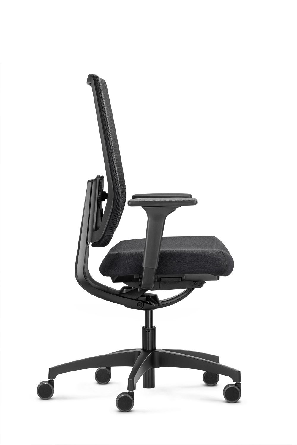 Dauphin Indeed automatic mesh ID 7056,