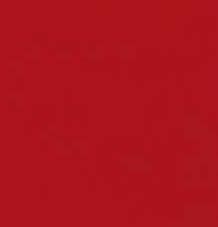 Premium Leder 29.41 feuerrot