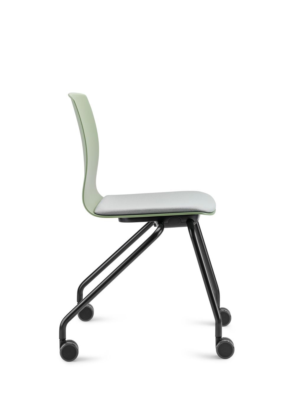 Dauphin Fiore nesting FI 7556, Staffelstuhl,