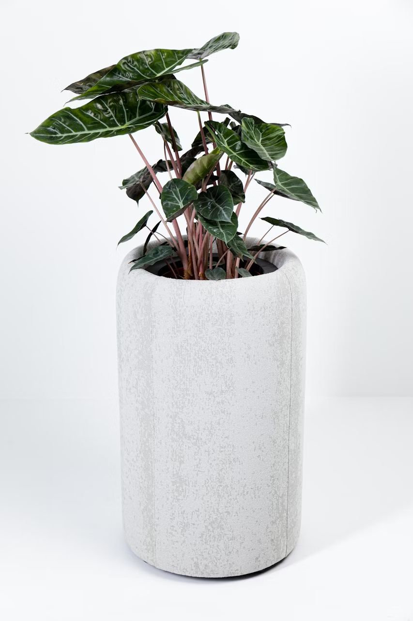 BuzziSpace BuzziPlanter, Pflanzgefäß, akustisch wirksam, viele Formate