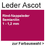 PG48 Leder Ascot