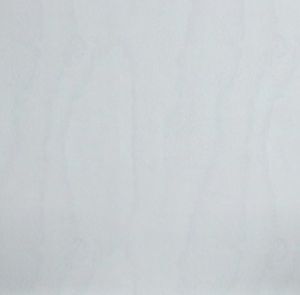 Buche gebeizt weiß 14/W