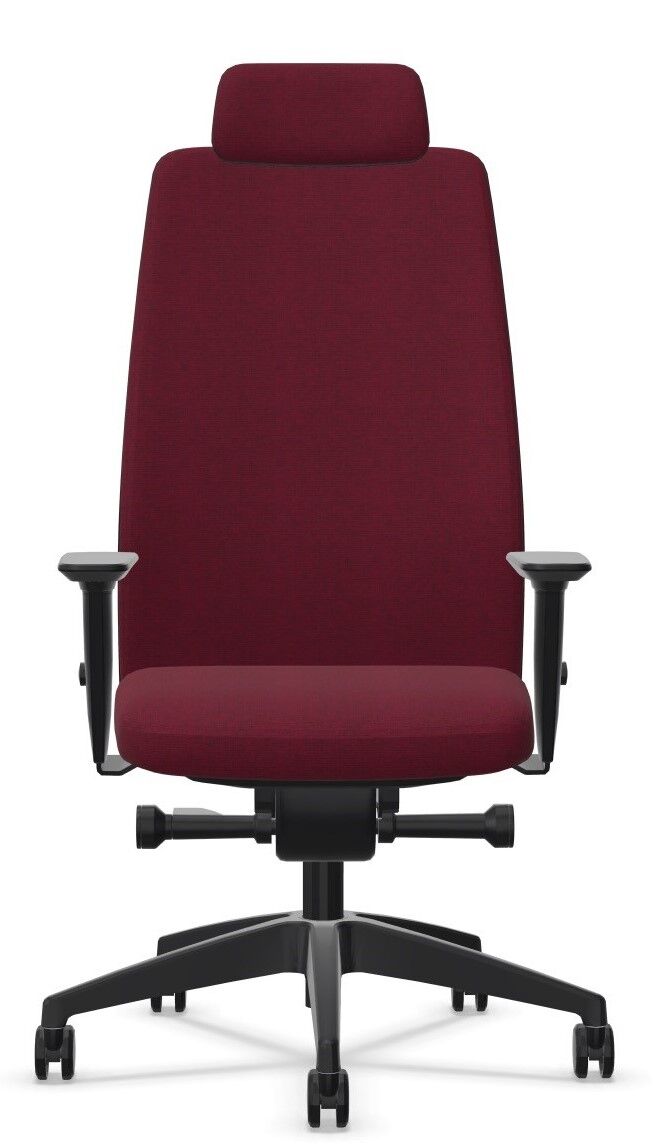 Interstuhl AIMis1 (1S326) FLEXTECH Sitztechnik,
