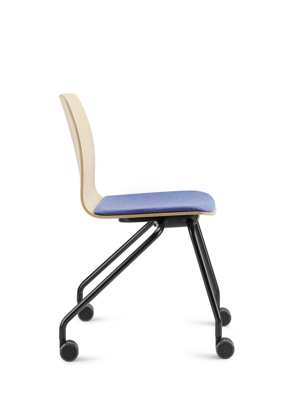 Dauphin Fiore nesting FI 7566, Staffelstuhl,