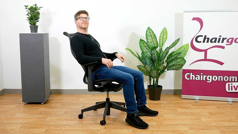 Herman Miller Cosm unkomplizierte Einstellung Herman Miller Cosm unkomplizierte Einstellung