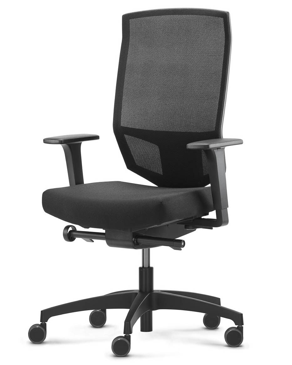 Dauphin @Just evo mesh AJ 5776 Netzrücken