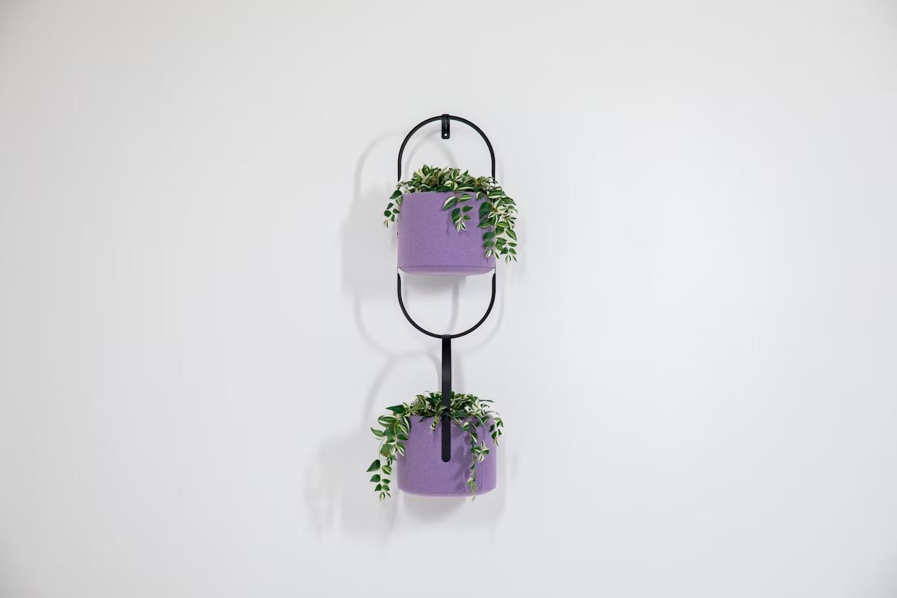 BuzziSpace BuzziPlanter, Pflanzgefäß, akustisch wirksam, viele Formate