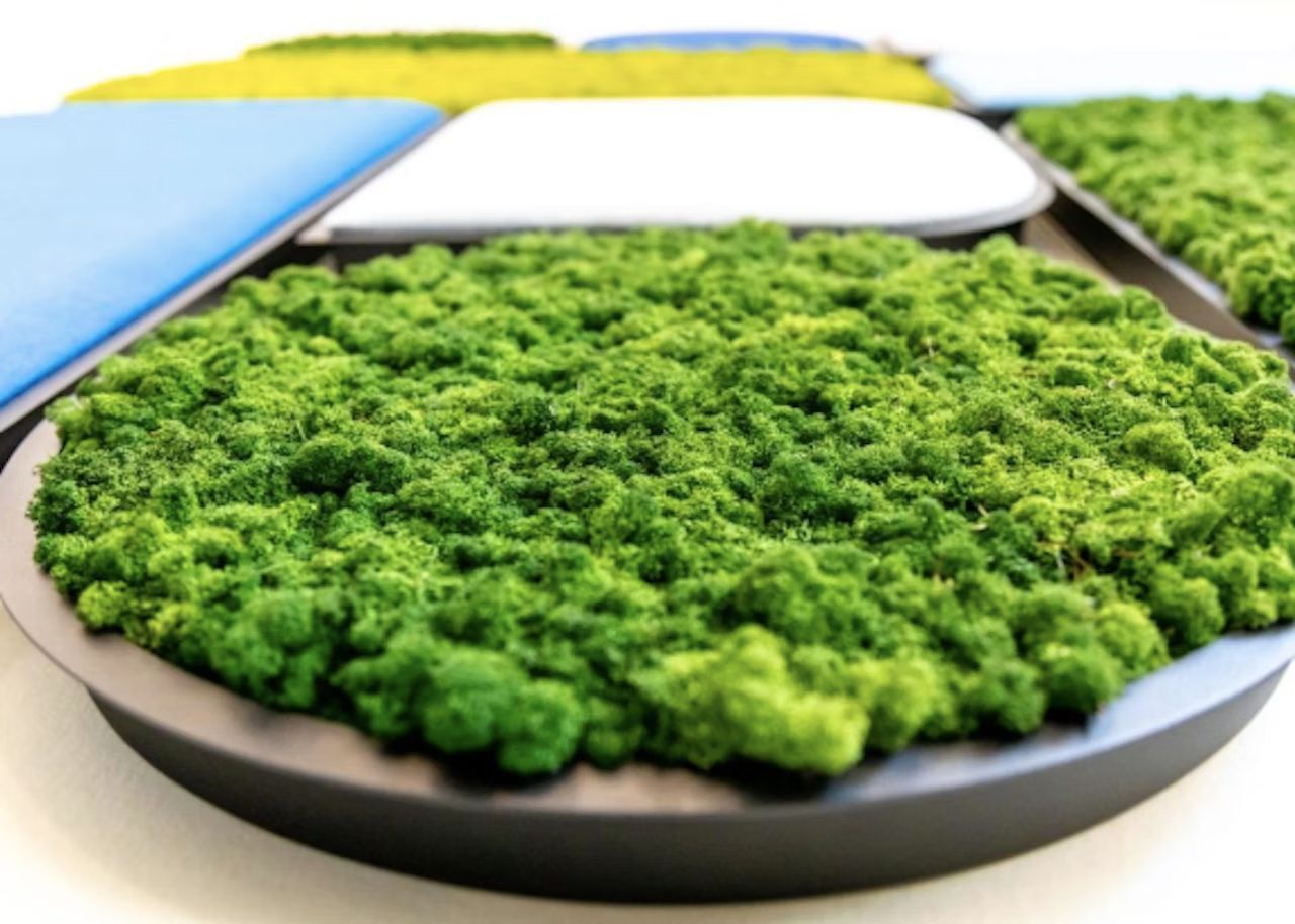 BuzziSpace BuzziMood, Akustik-Paneel, Wandmontage, viele Formate, Moos oder Stoff