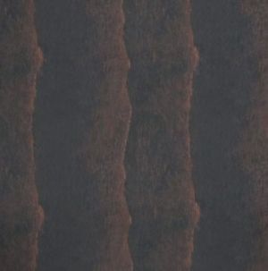 Buche gebeizt Schokolade 21/C