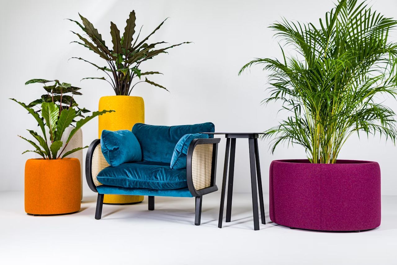 BuzziSpace BuzziPlanter, Pflanzgefäß, akustisch wirksam, viele Formate