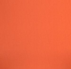 Buche gebeizt lachs 29/P