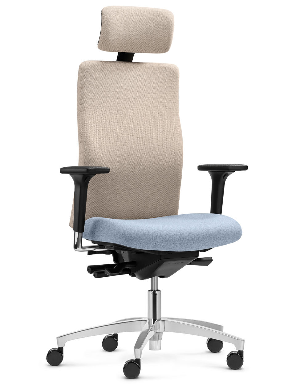 Dauphin Shape economy2 comfort SH 3895,