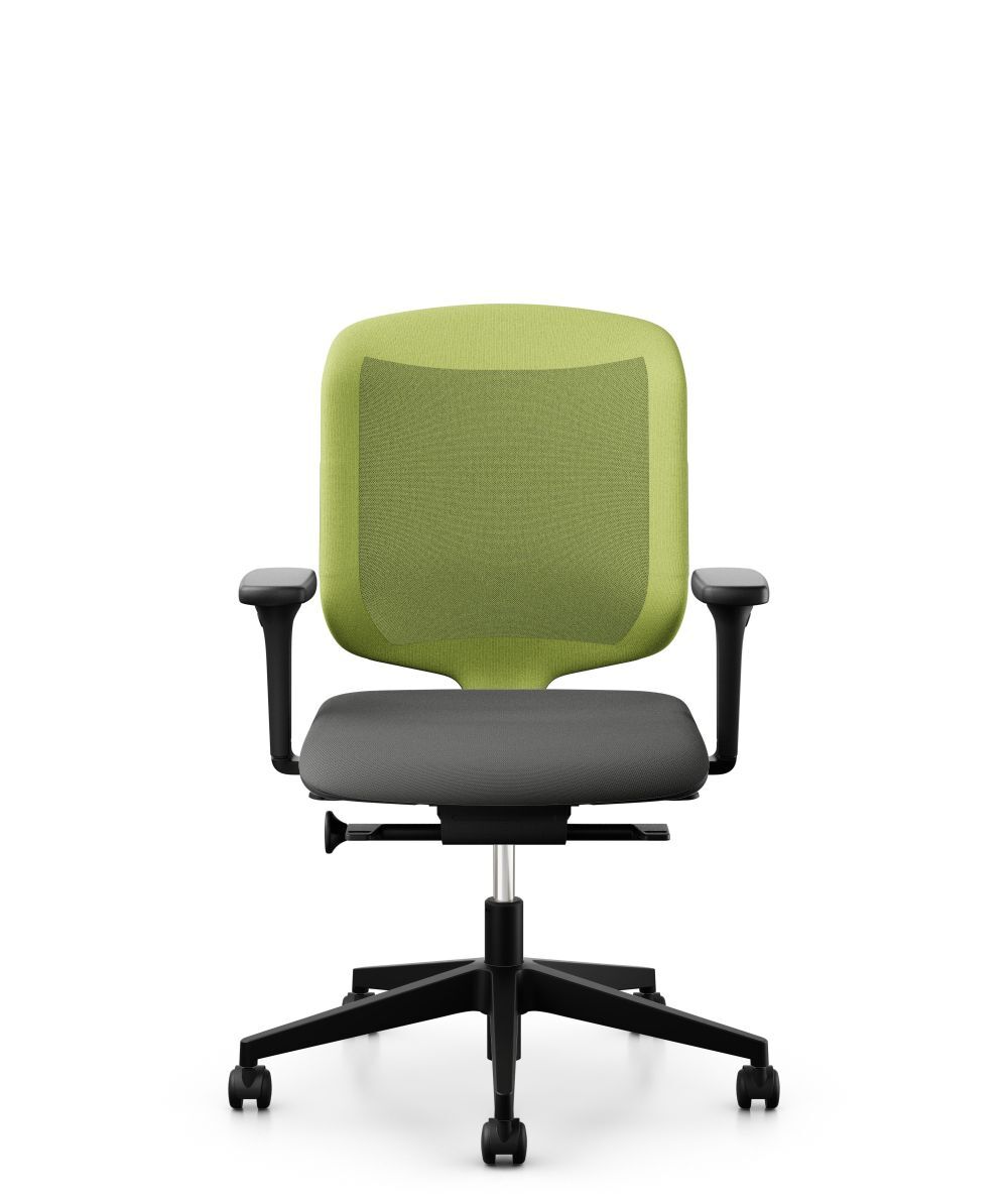 Giroflex 434 434-3019, Bürostuhl, niedriger