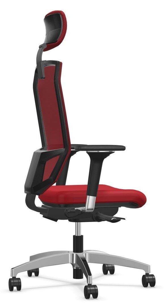 Dauphin @Just magic2 mesh XS AJ 5787_XS