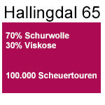 PG 4 Hallingdal 65