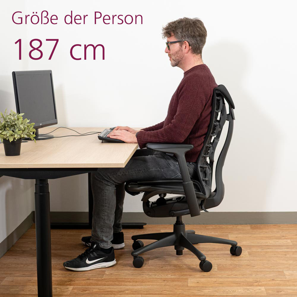 Herman Miller Embody, Gaming Stuhl, Black,