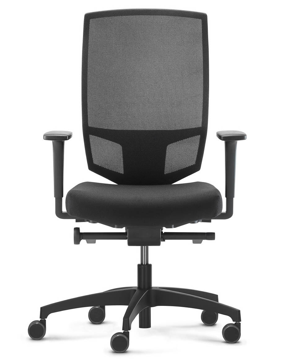Dauphin @Just evo mesh AJ 5776 Netzrücken