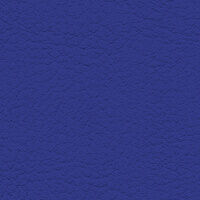 006.020 standardblau
