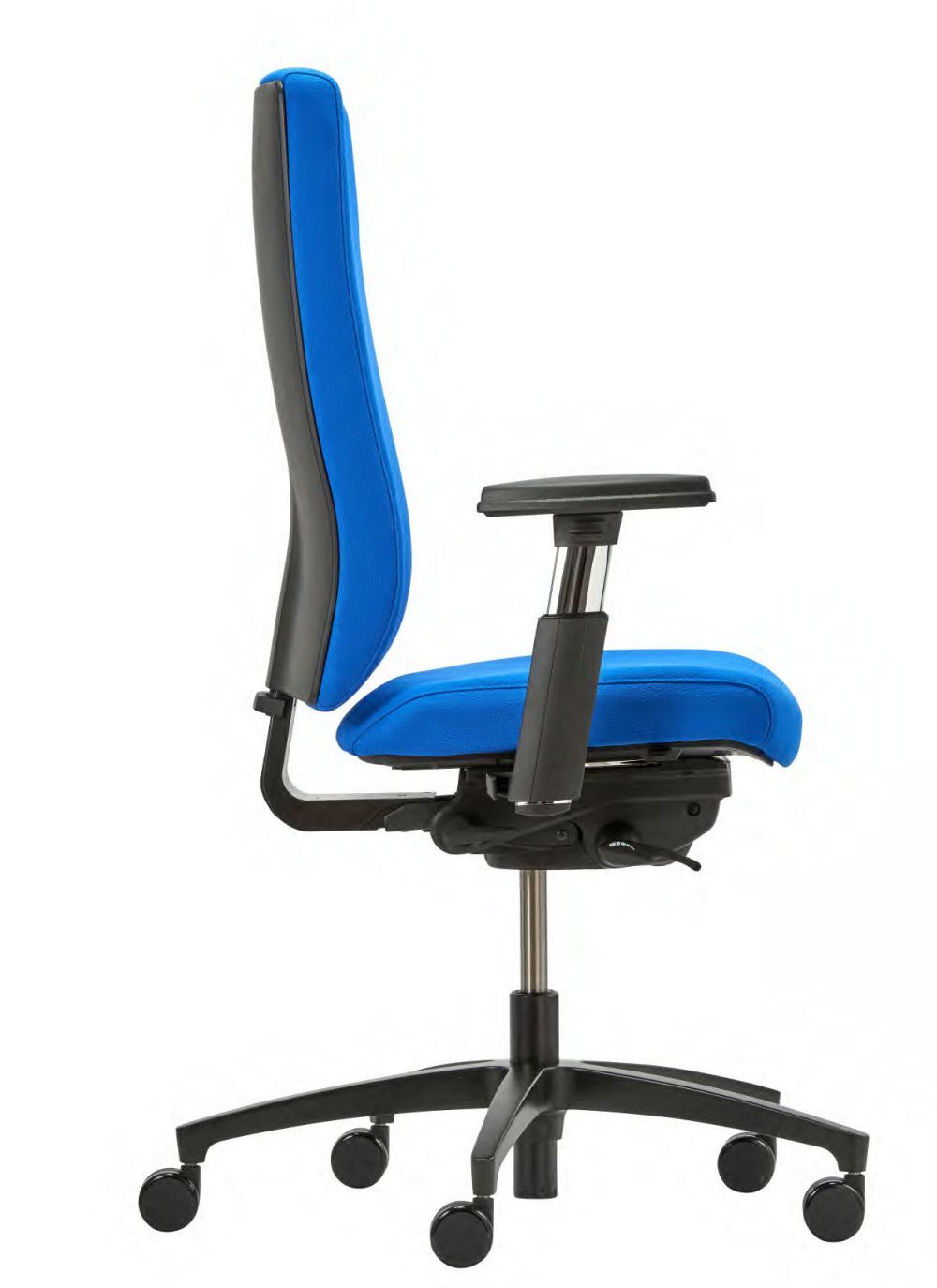 Dauphin @Just magic2 XL (AJ 4862)